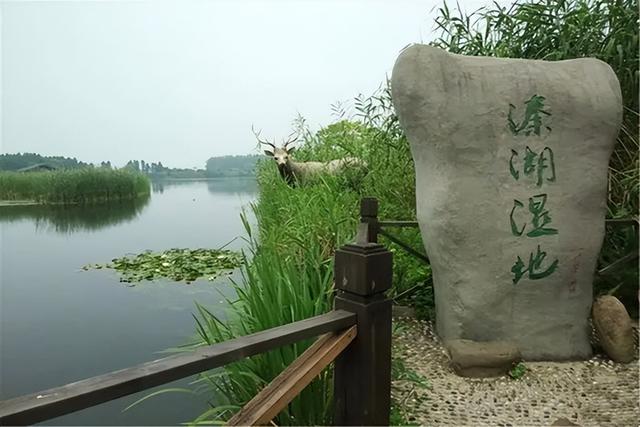 景区说之溱湖国家湿地公园景区（溱湖湿地公园介绍）
