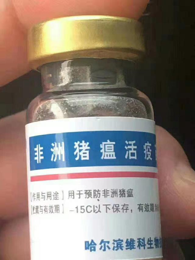 别再被骗了，哈兽研已证实目前网传的非洲猪瘟疫苗为假冒产品（哈兽研非瘟疫苗最新消息）