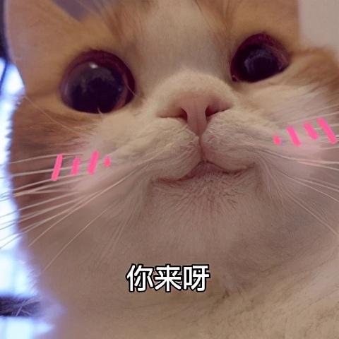 国际快递走什么路线好？（国际快递怎么走）