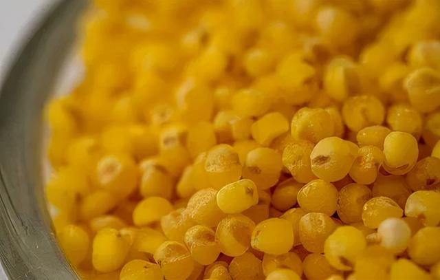 滋阴补肾的水果_巧吃一黄和三白，滋阴益肾助通便