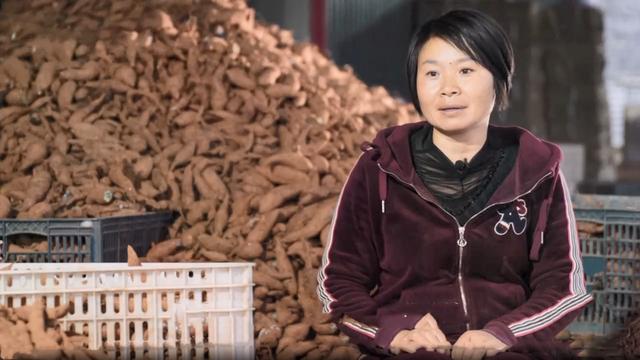 农村妇女回家创业，意外发现商机，竟把猪都不吃的红薯梗卖出天价