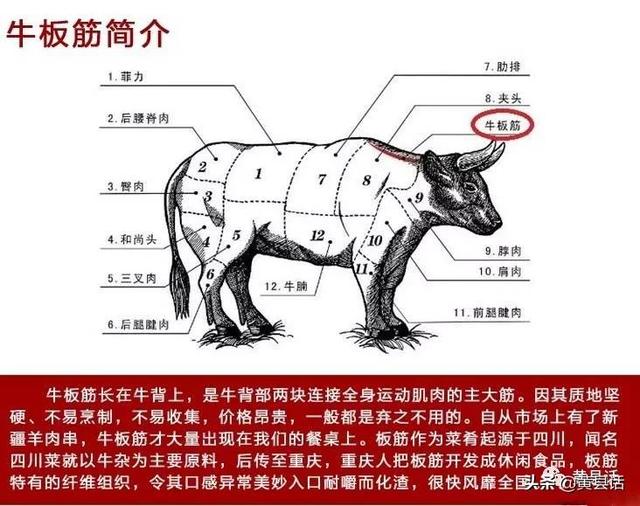牛筋、脑筋、懒筋、麻筋……你的方言中是否有这么多筋？