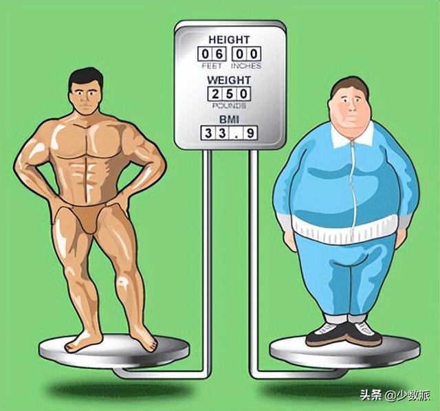 体脂秤哪个品牌好_体脂秤怎么选？（体脂秤怎么选?购买之前要慎重）