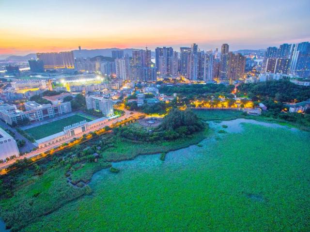 与绿色同行 │ 感受路氹城生态保护区之美（绿色生态道路）