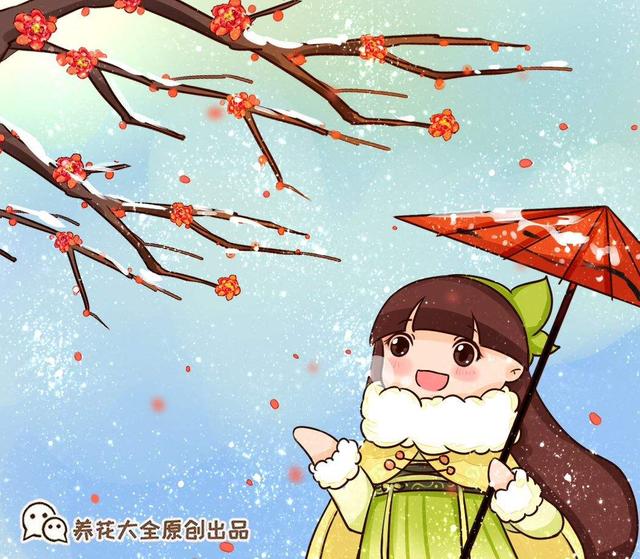 古代人爱养的“4种花”，现代人养成盆景，越养越有气质（古人养花极其讲究）