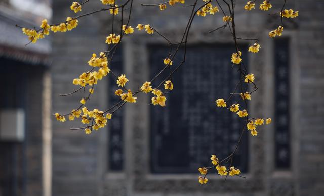 秦观最有名的8首诗，婉约纤细，柔媚淡雅，就差唯美和大气了！（秦观的诗词风格）