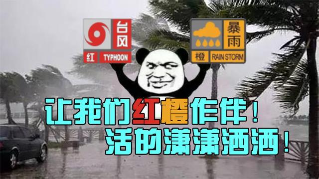 台风来海南了！风中凌乱的我们如何与台风势力对抗！（登陆海南的台风）