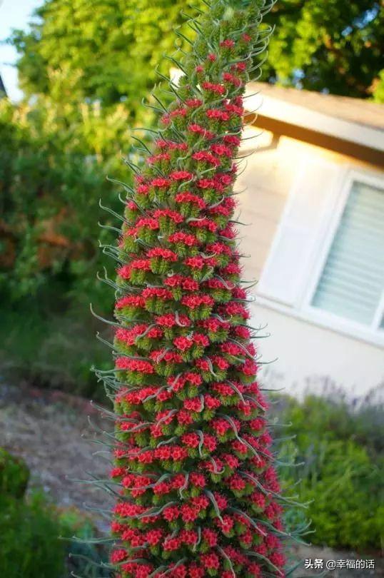 宝石塔_奇物 宝石塔（尖塔奇兵宝石钥匙）