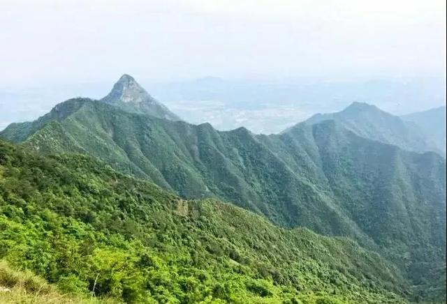 深圳这5条线路太美啦，可以徒步穿越，还可以骑行，无门票（深圳周边骑行路线）