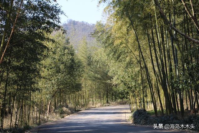 浙江湖州的安吉县有一个中南百草园，里面有什么好玩的好看的吗（安吉中南百草园附近其他景点）