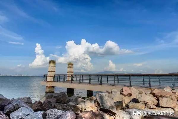 深圳有哪些适合情侣玩的地方？（深圳香蜜公园有什么好玩的）