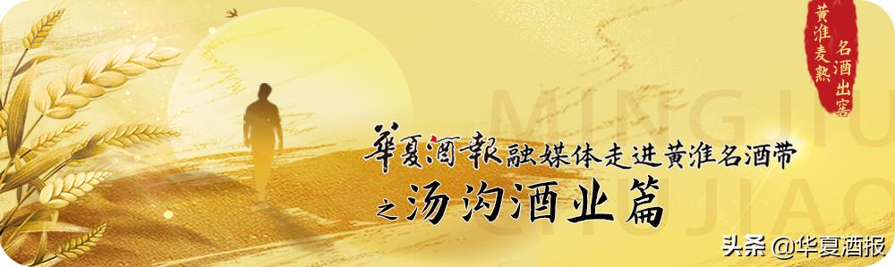 汤沟，在名酒崛起的“节点”重生（汤沟系列酒）