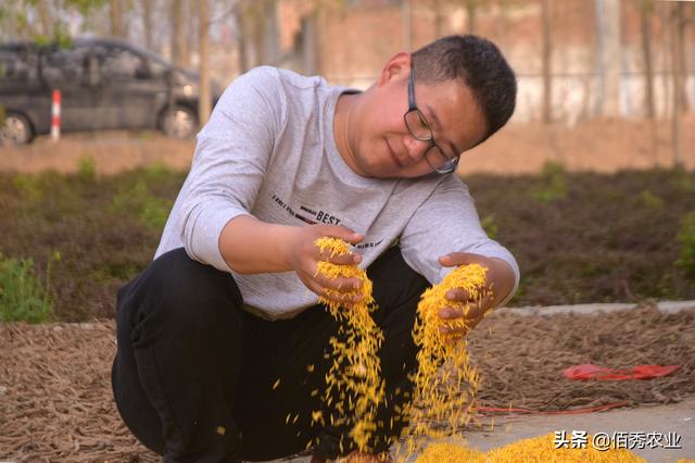 农村4种潜力行业，将是未来赚钱大热门，返乡创业可以考虑（农村未来创业前景方向）