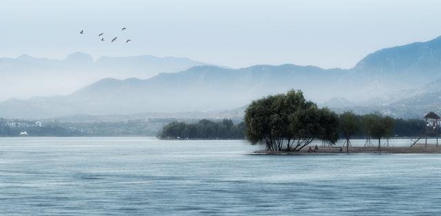 满眼青绿！济南这些夏日必打卡的湿地公园美得正当时！仿佛置身画中~